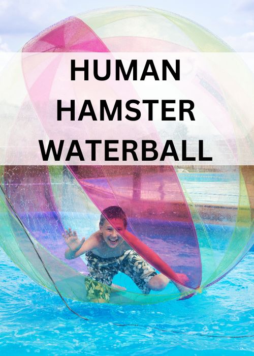 human hamster ball