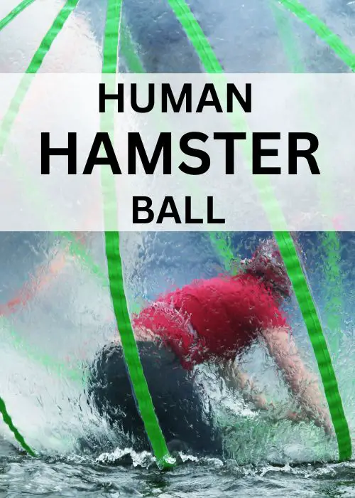 human hamster ball