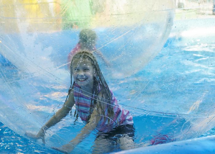 evolution of zorbing