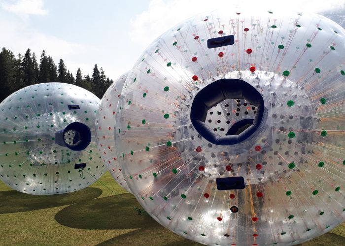 cost of zorbing