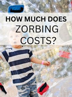 zorbing costs
