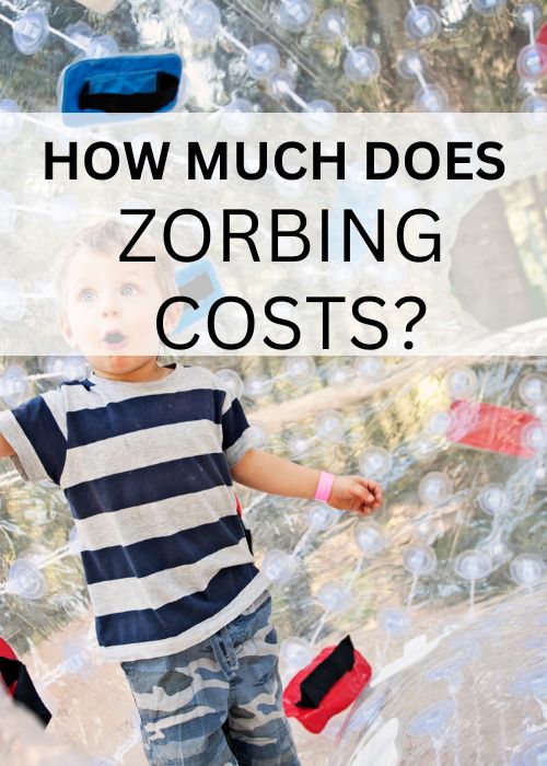 zorbing costs