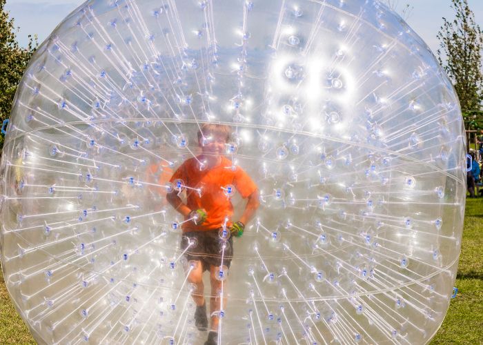 cost of zorbing