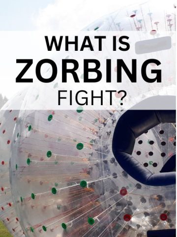 zorbing fight