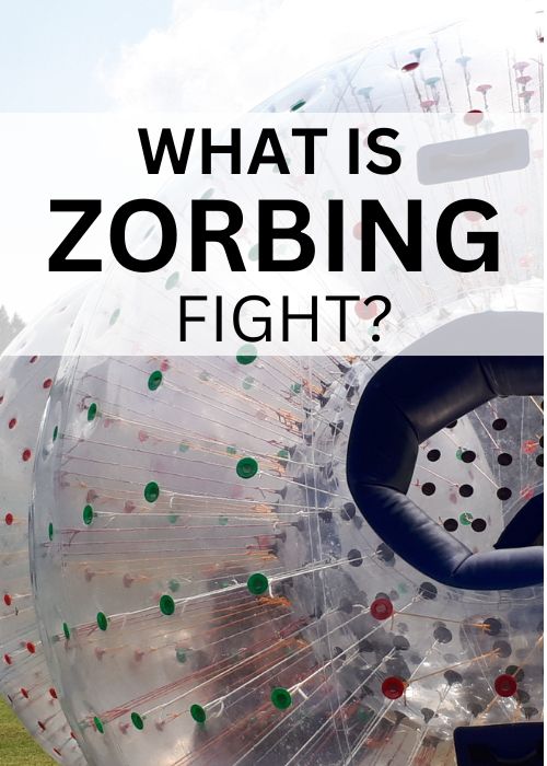 zorbing fight