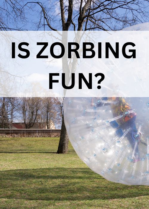 zorbing fun